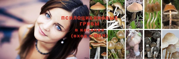 синтетический гашиш Елизово