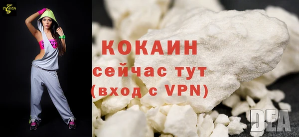соль ск Дмитров