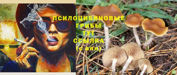 мескалин Заводоуковск