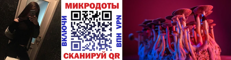 Псилоцибиновые грибы мицелий  Купить где  Гурьевск 